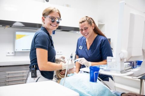 Eine Wurzelbehandlung in der Zahnarztpraxis Dr. Hortio Zieger