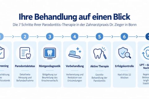 Grafik: Ihre Parodontitis-Behandlung in 7 Schritten